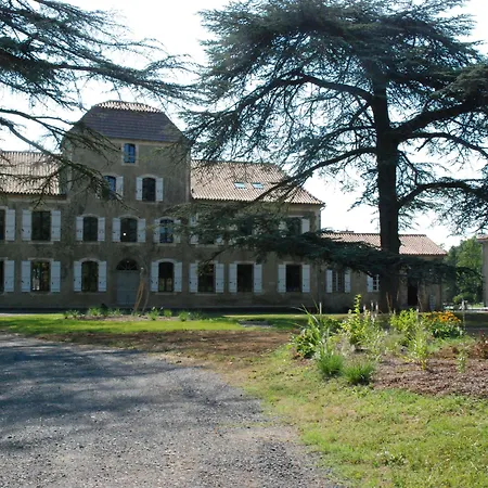 Chateau De Bed and Breakfast Maumusson-Laguian