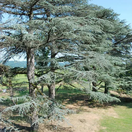 Chateau De 4* Maumusson-Laguian